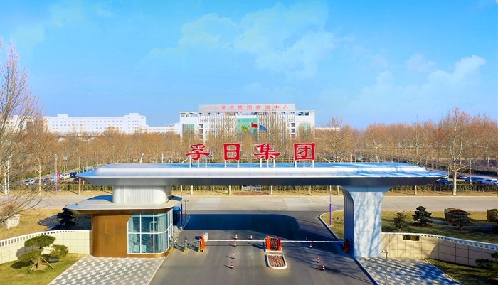 多特蒙德中文电机、多特蒙德中文宣威同获山东省专精特新企业荣誉称号